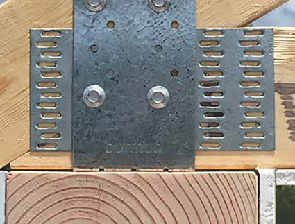 Burman plate anchor